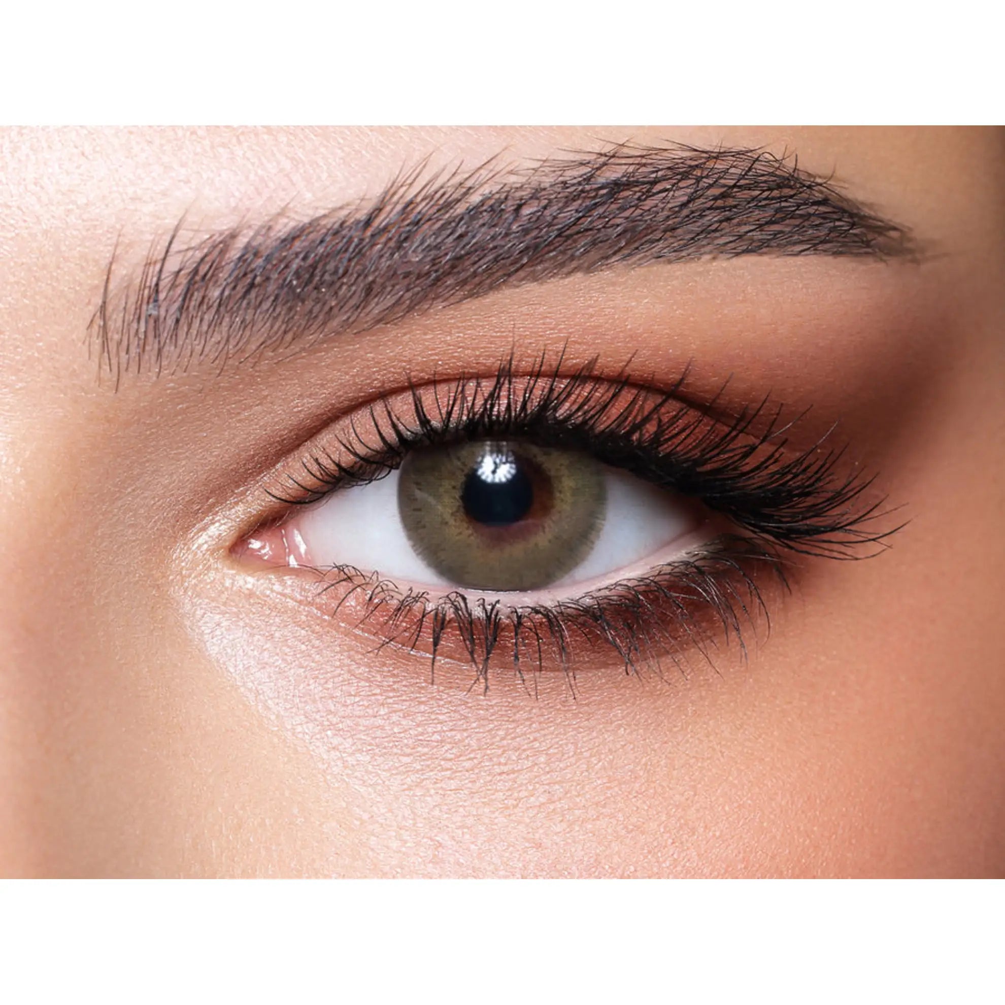 Bella Elite Lenses (Silky Green)