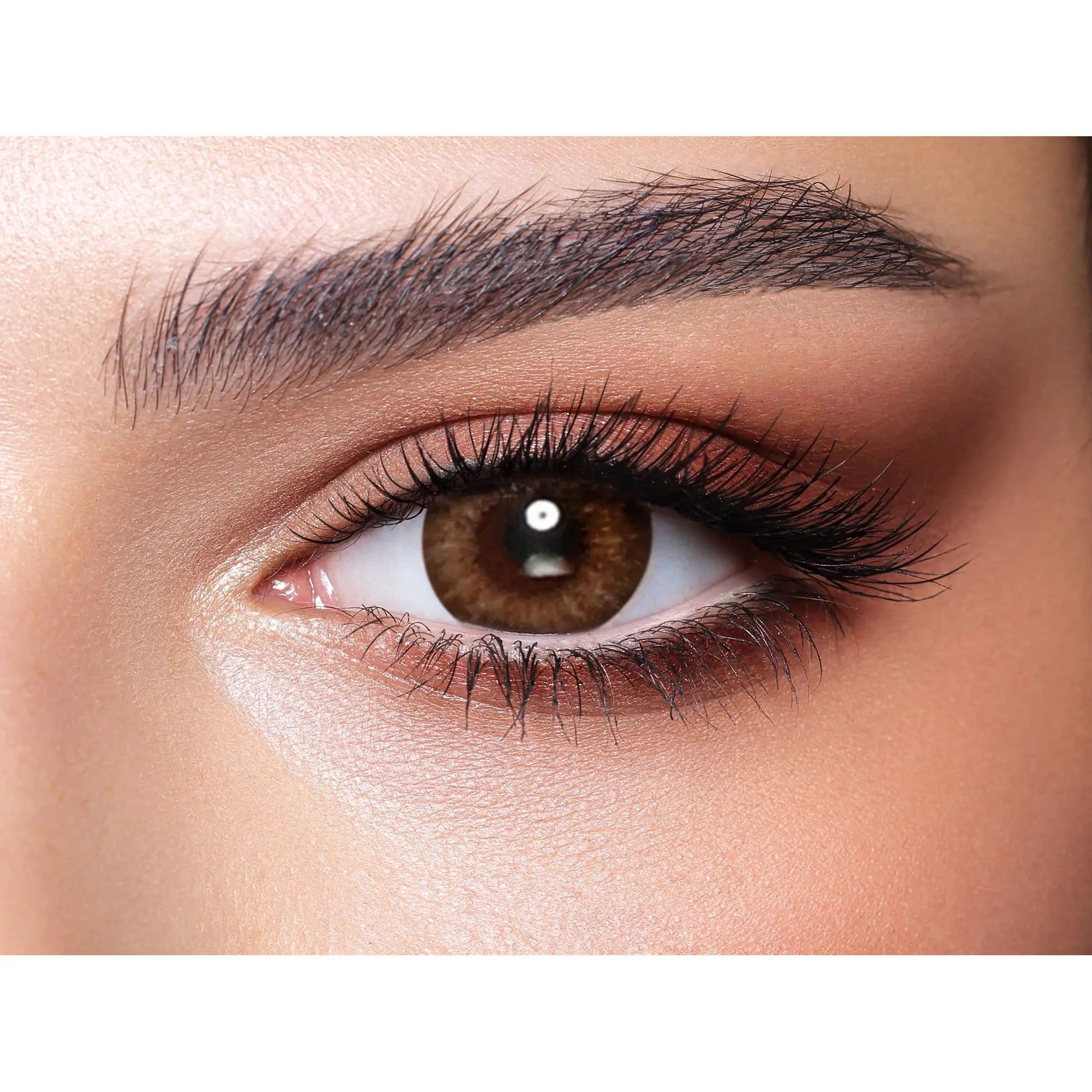 Bella One Day Lenses (Almond Brown)