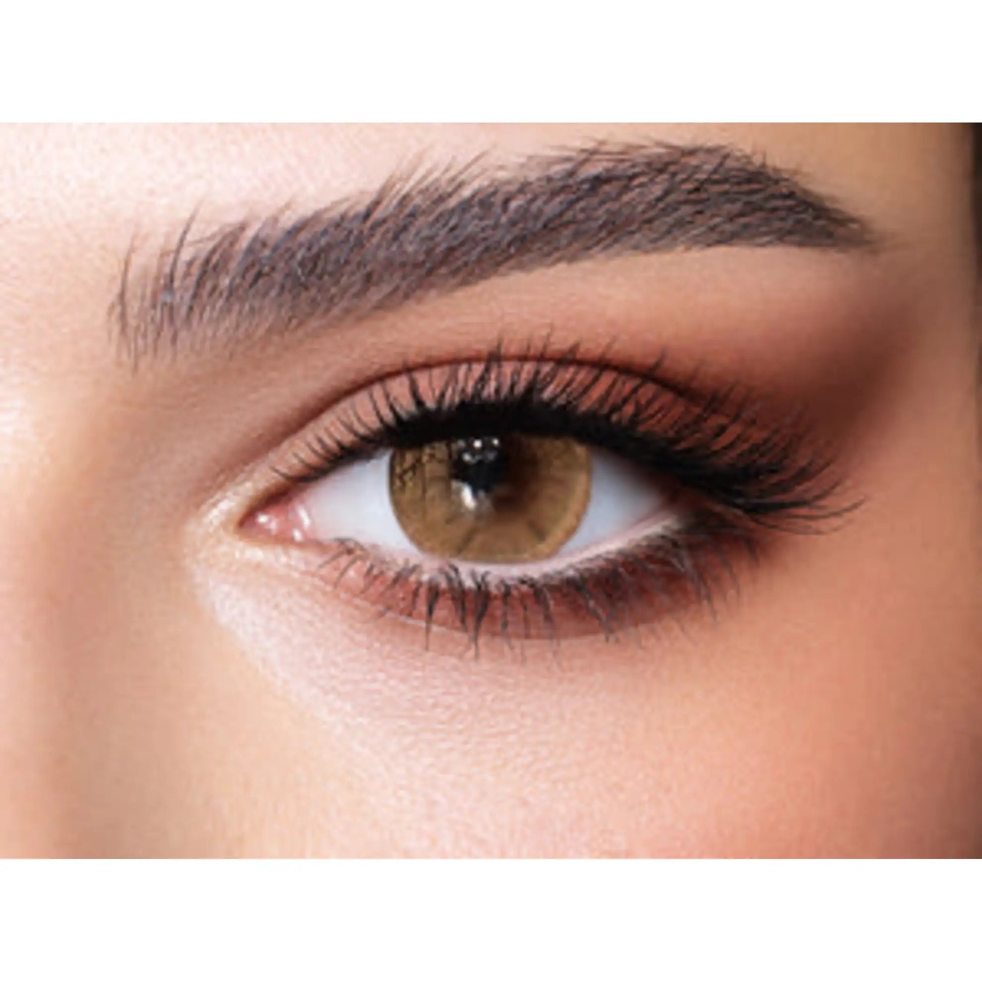 Bella One Day Lenses (Hazel Beige)