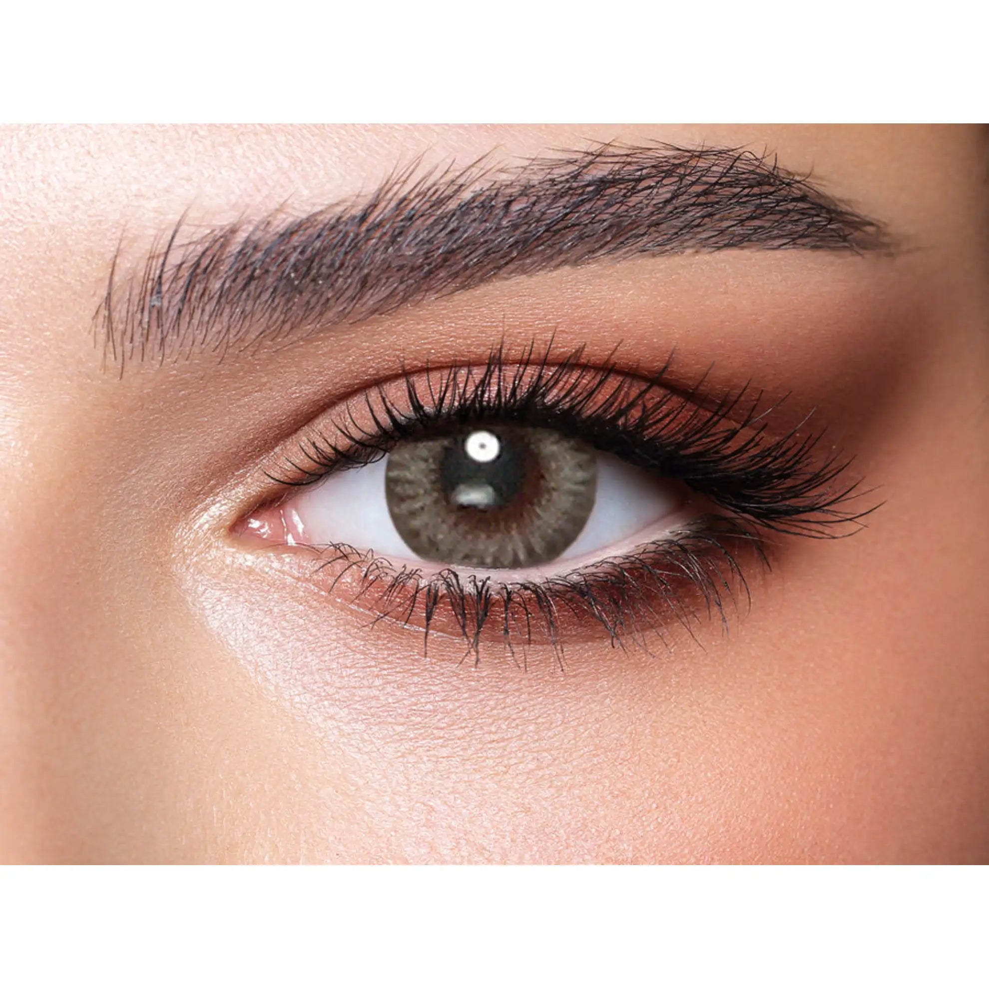 Bella One Day Lenses (Platinum Grey)
