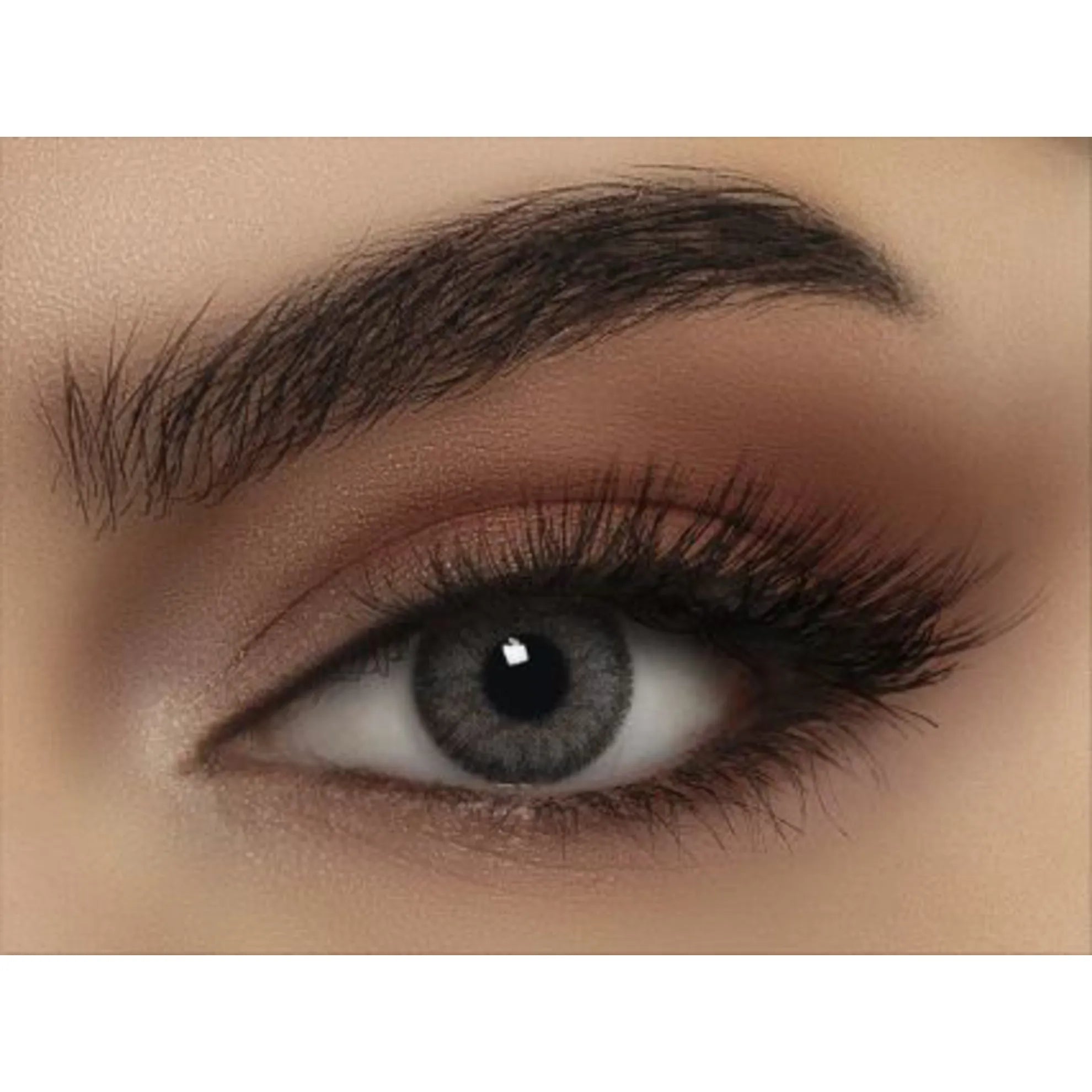 عدسات بيللا الملونة (كونتور بلاتينيوم)