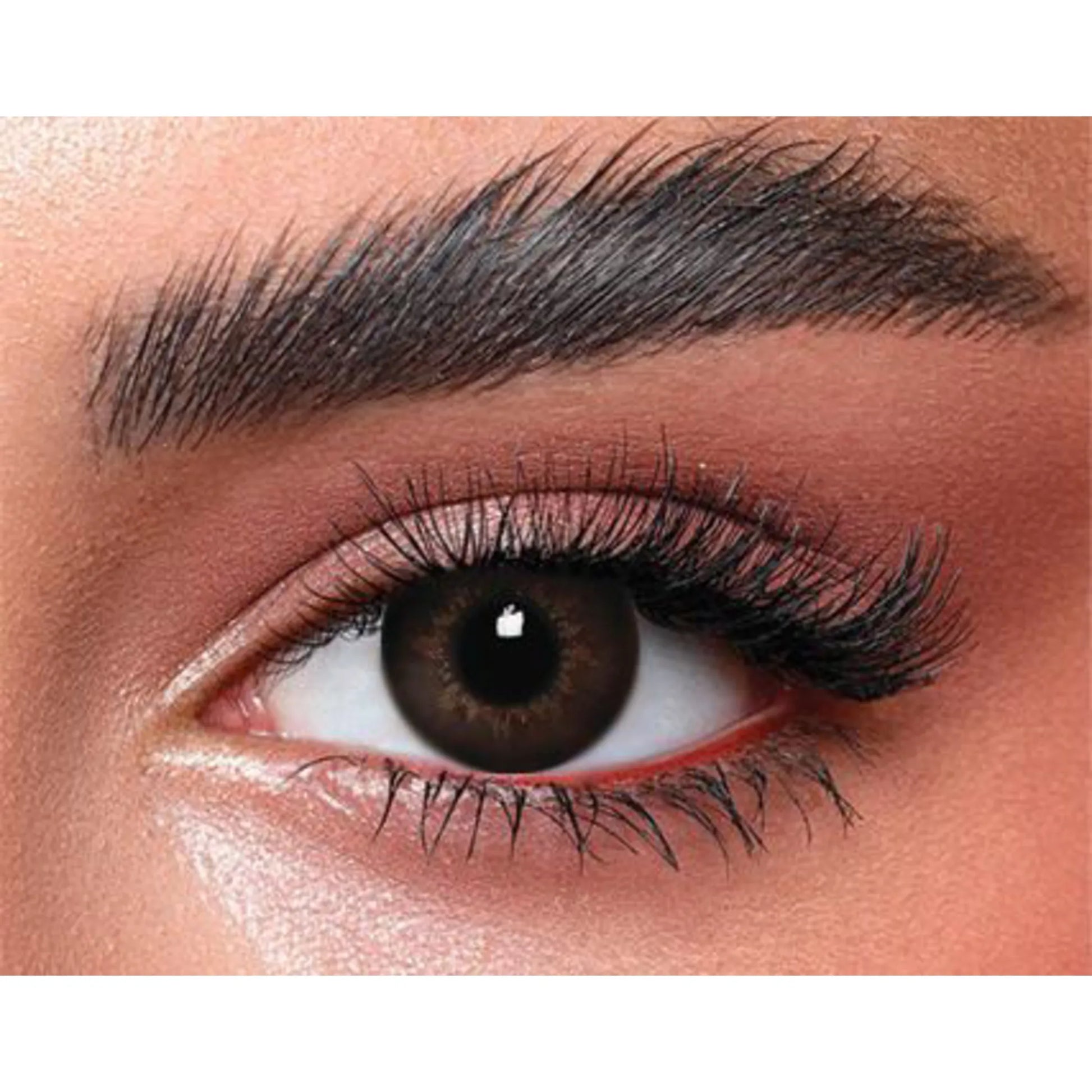 Bella Color Lenses (Highilght Circle Brown)