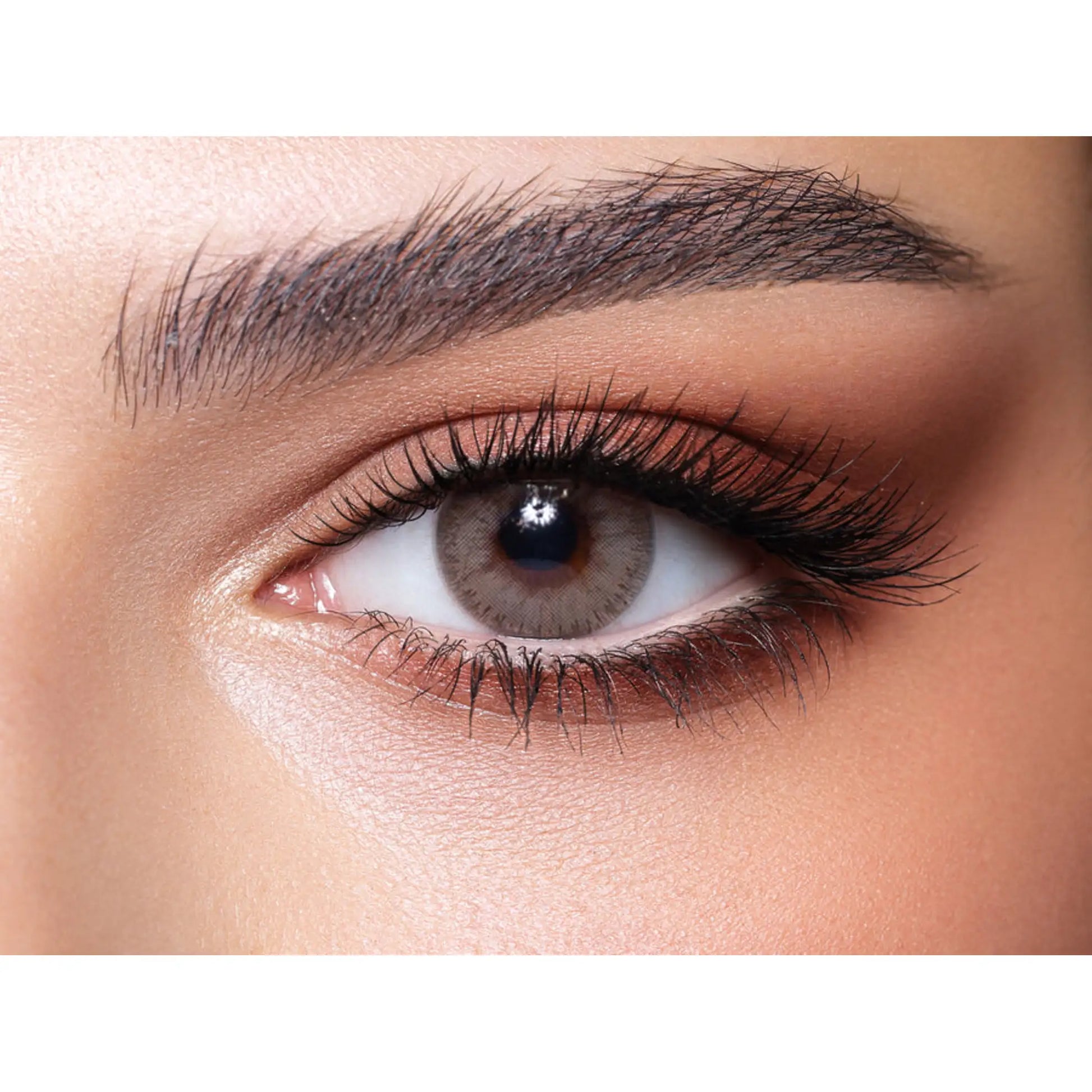 Bella Elite Lenses (Sandy Gray)