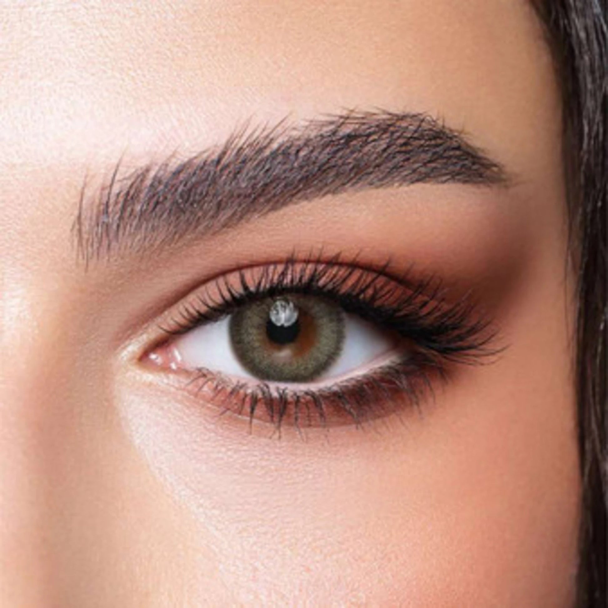 Bella One Day Lenses (Ash Brown)