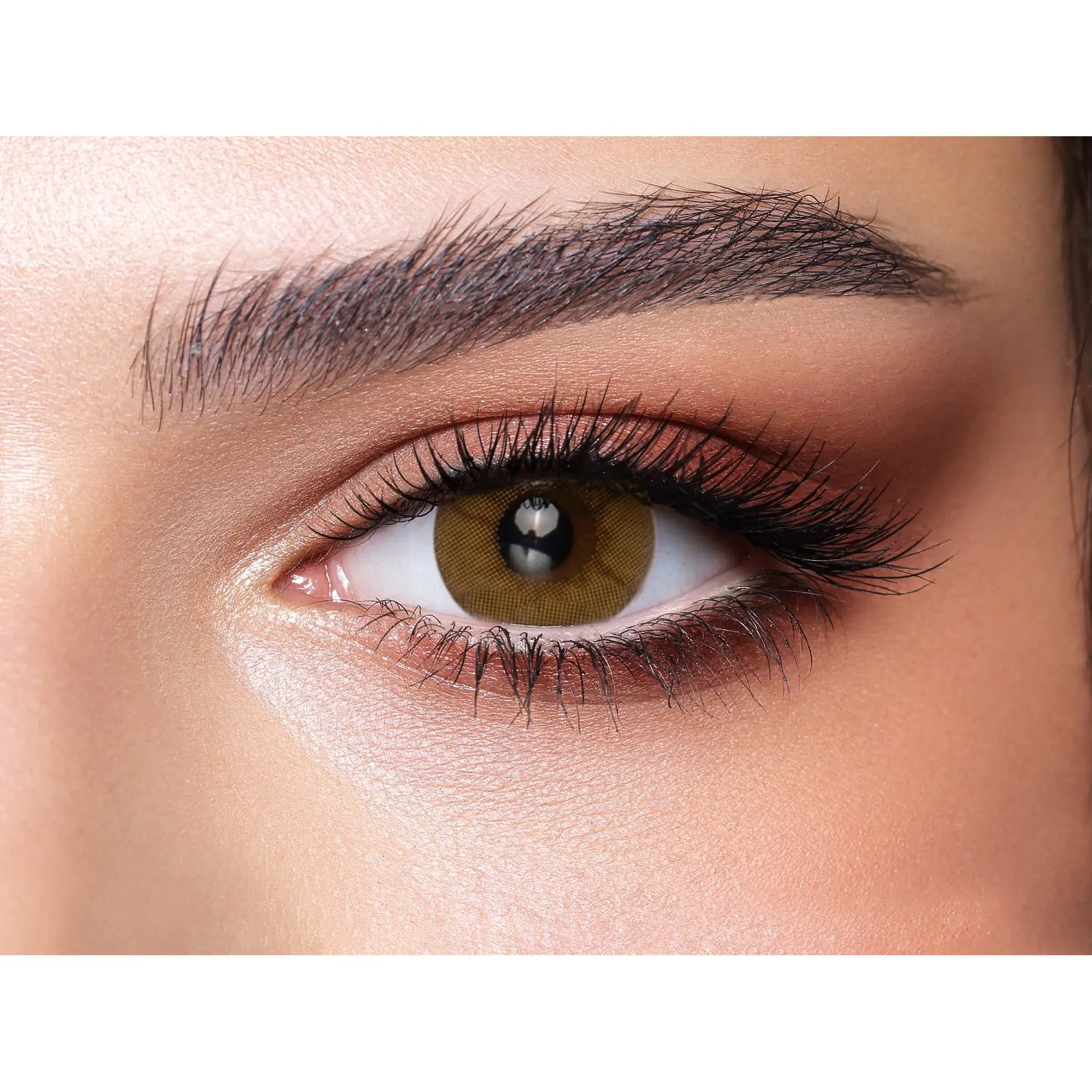 Bella One Day Lenses (Citrine Crystal)