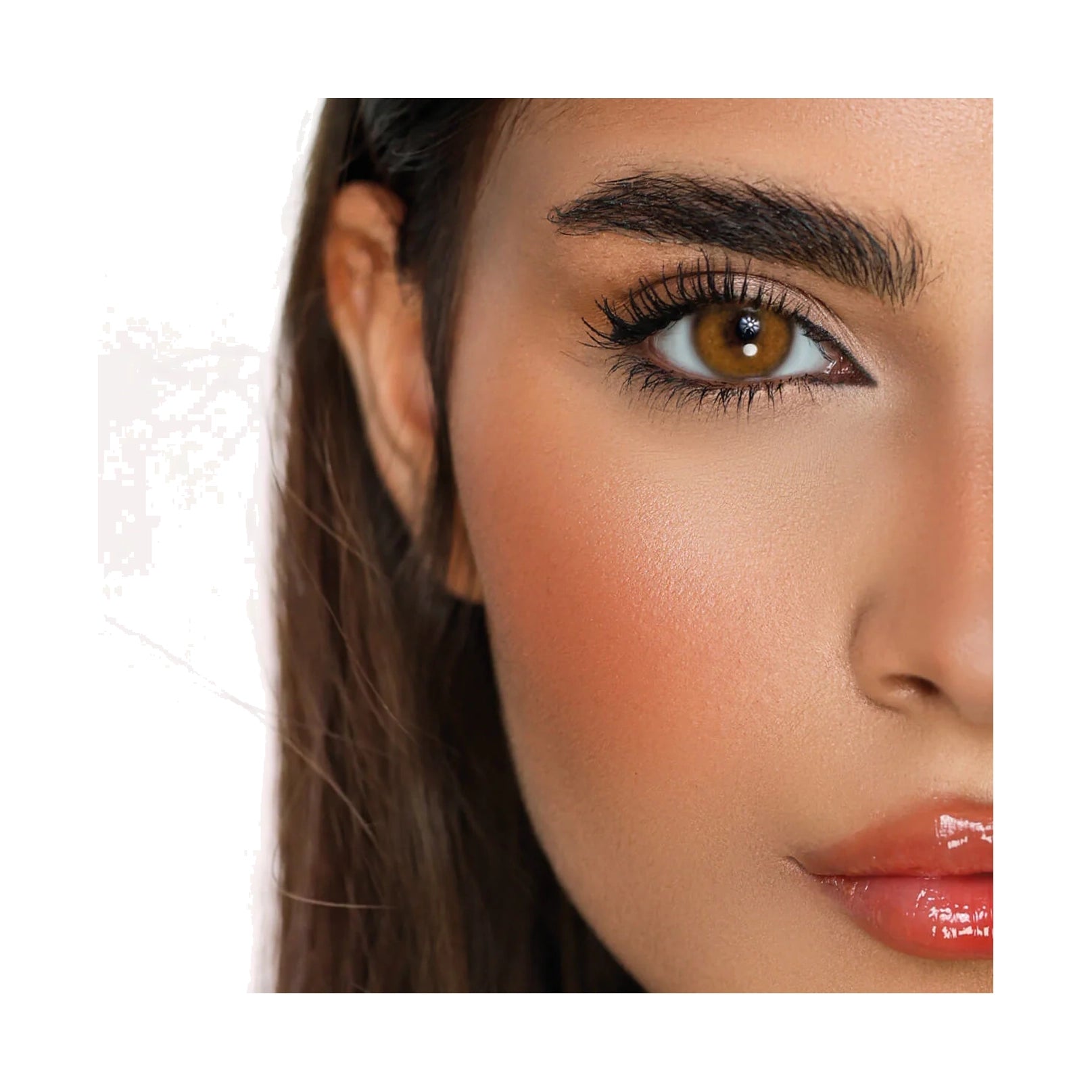 Desio Attitude One Day Colored Contact Lenses – Deep Brown