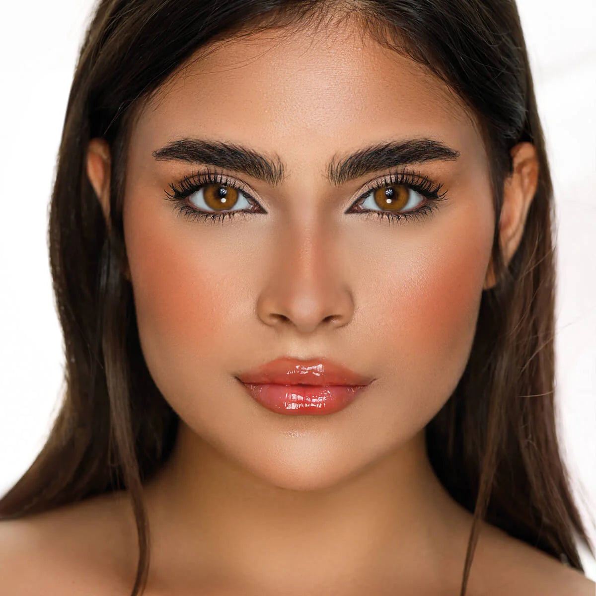 DESIO ATTITUDE ONE DAY (DEEP BROWN)