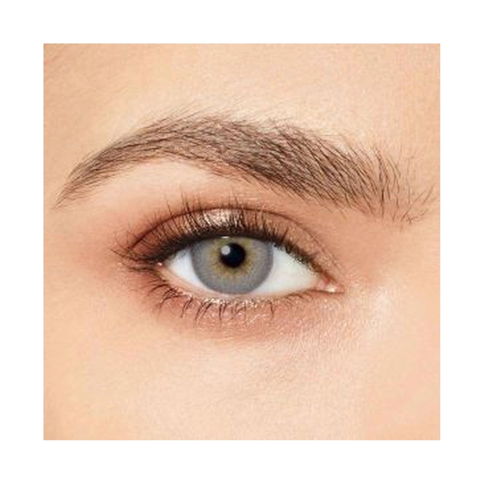 Desio Attitude One Day Colored Contact Lenses – Precious Grey