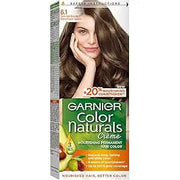 Garnier Natural Color No.(6.1)