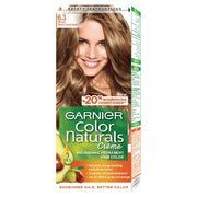Garnier Natural Color No.(6.3)