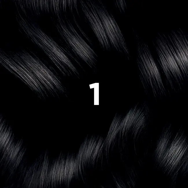 Phyto Hair Color NO.1 Black