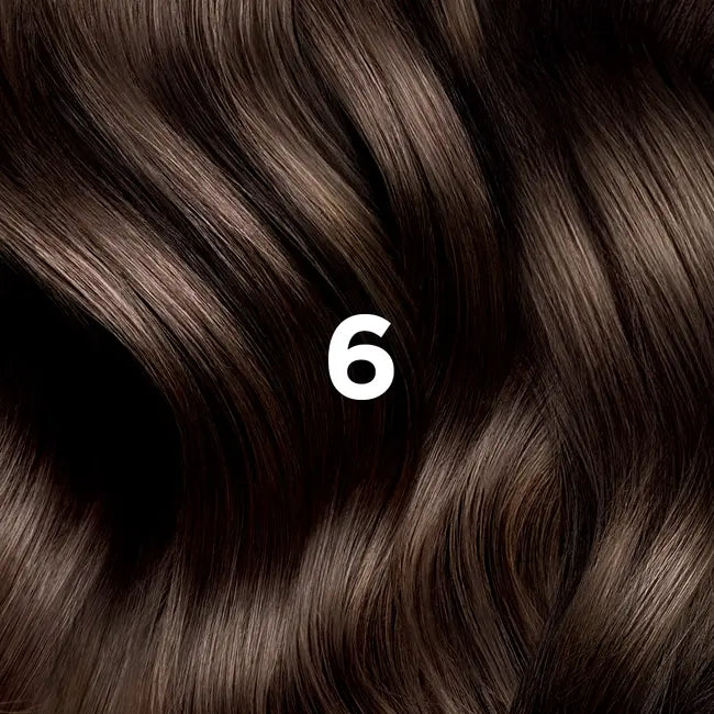 Phyto Hair Color NO.6 Dark Blond